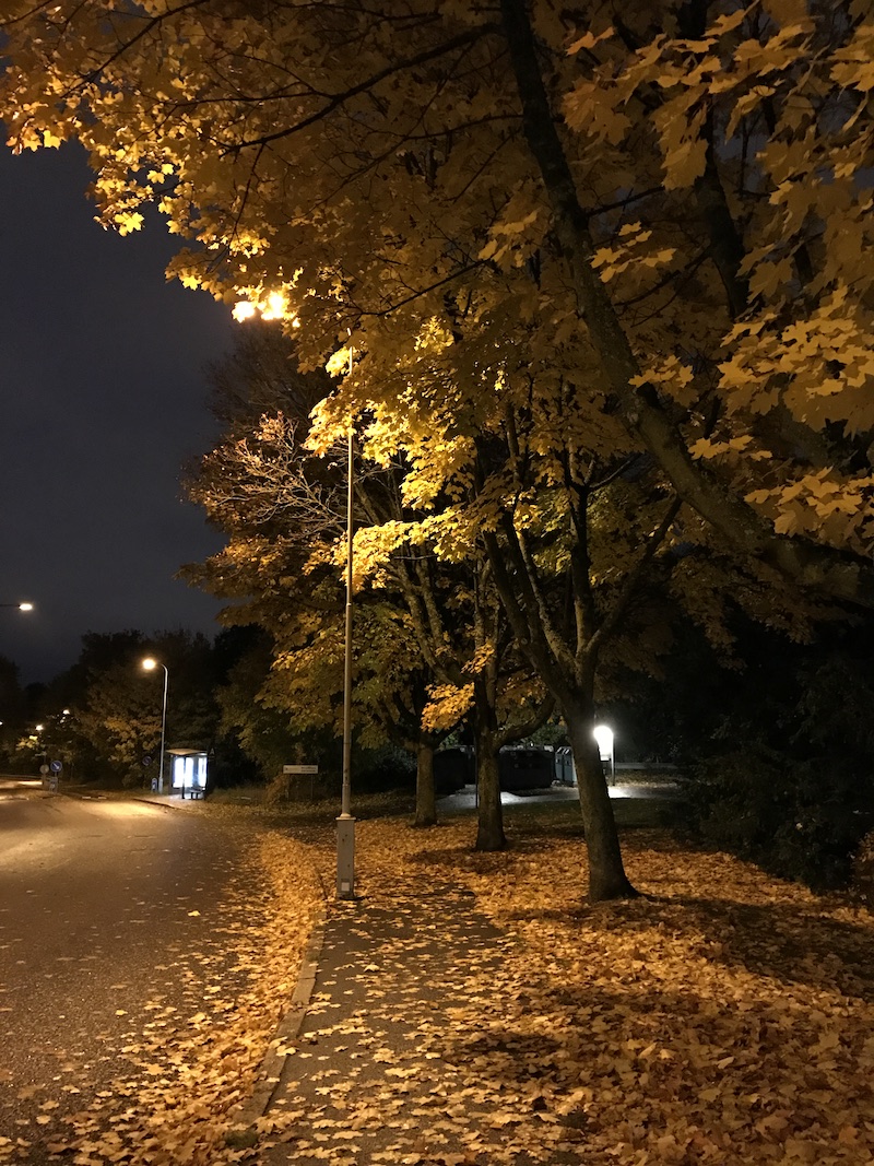 Autumn colors