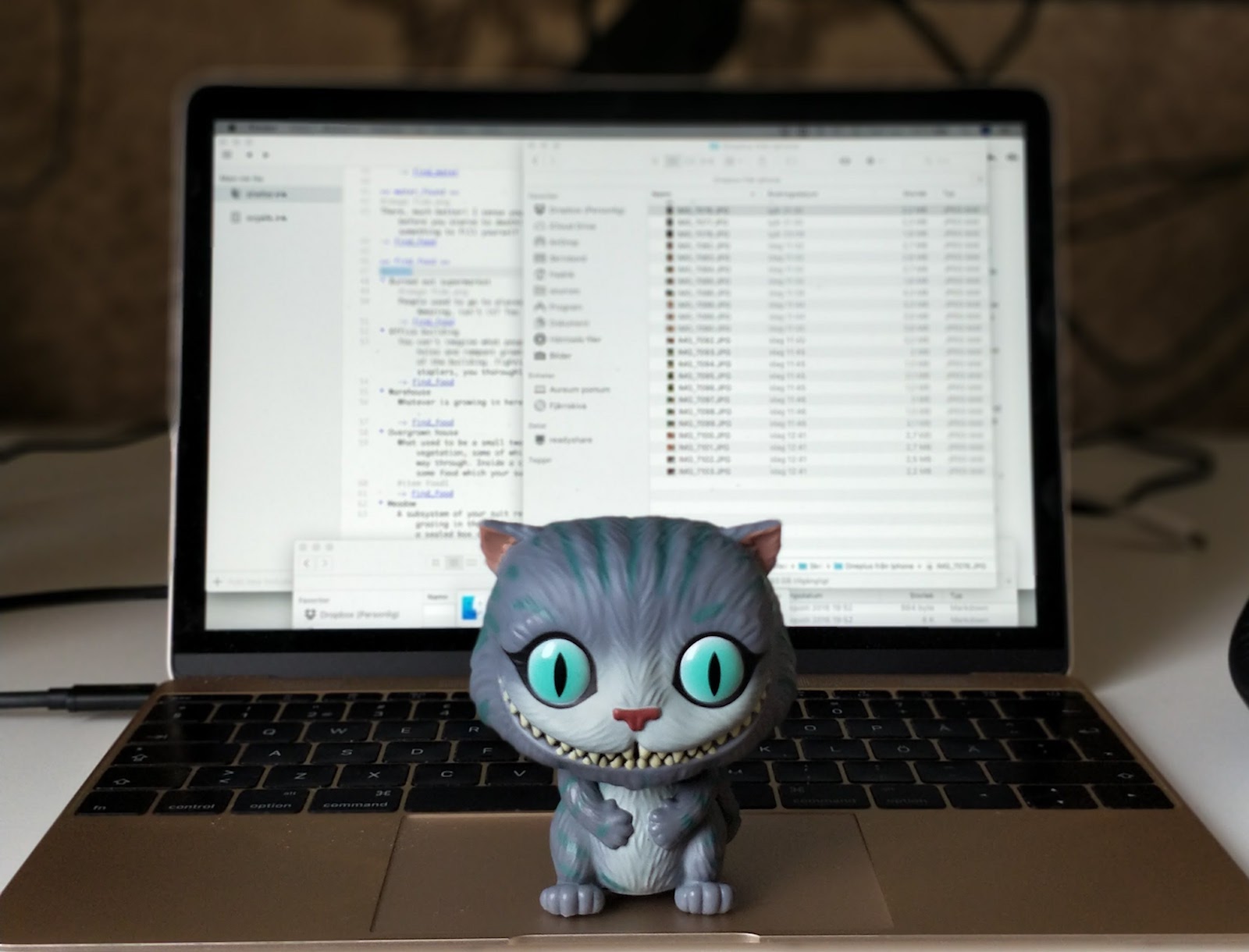 Chesire cat