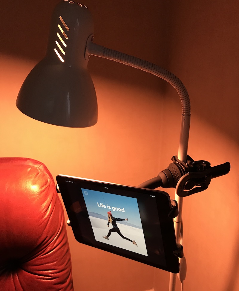 Lynx with Ipad mini attached to lamp