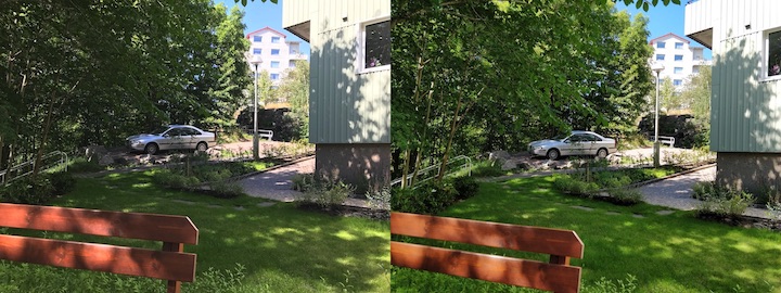 Car in summer green surroundings