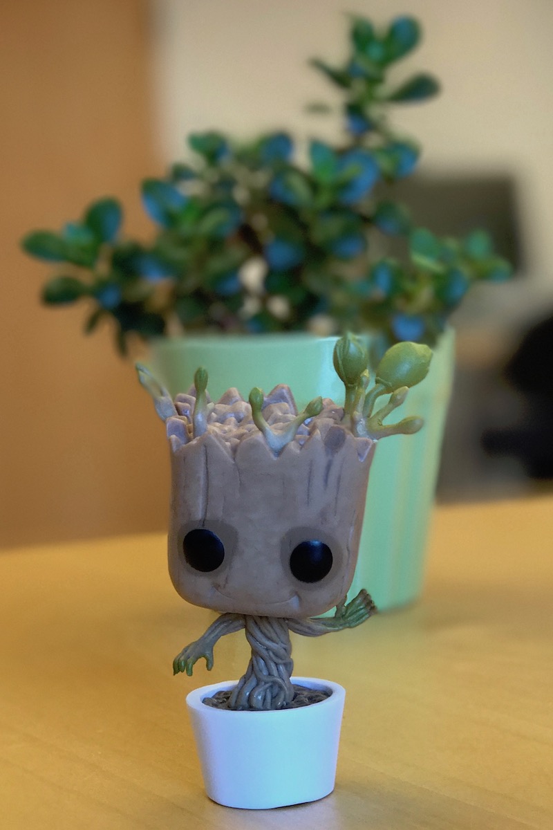 I am Groot