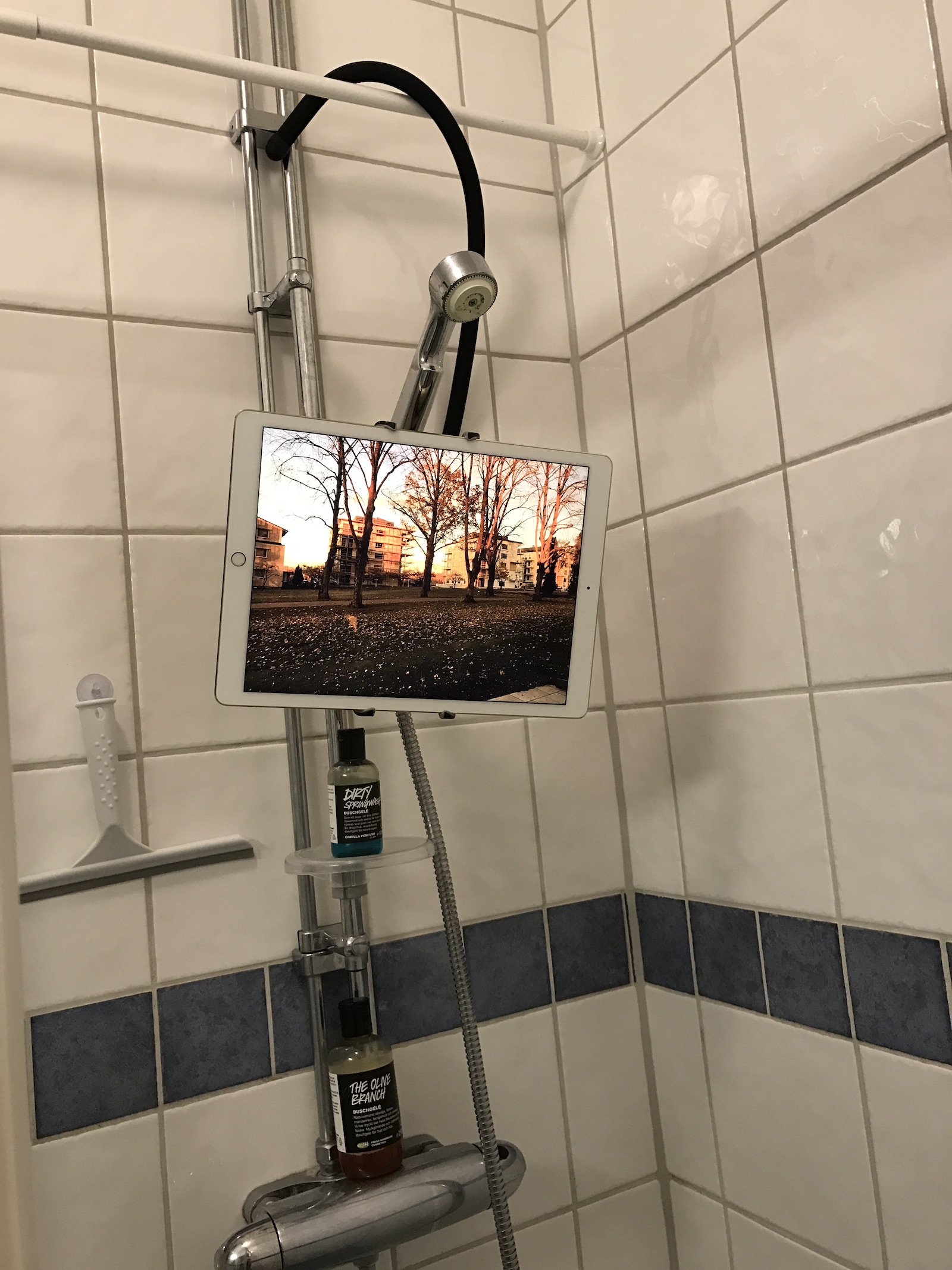 The Spider monkey hanging in a shower